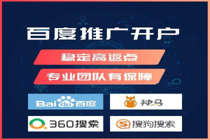 成功SEM服务案例分析报告